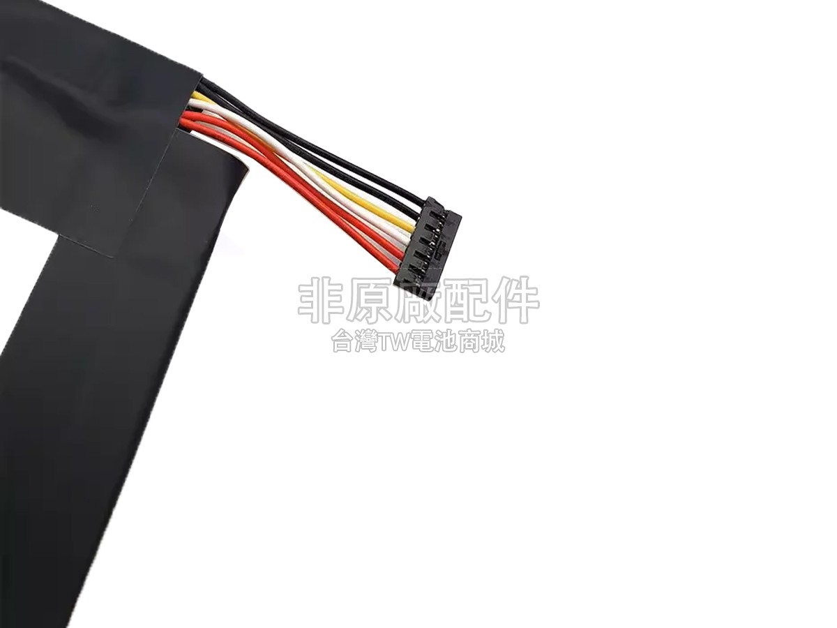 Nalong AECG-12W副廠電池