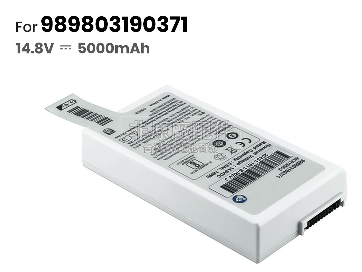 Philips 989503190371副廠電池