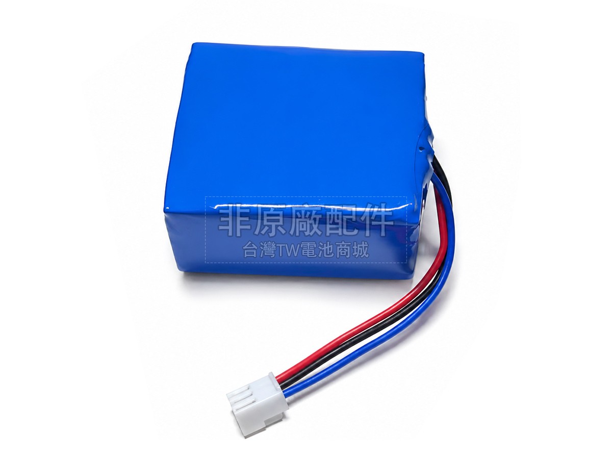 Philips 300002906404副廠電池