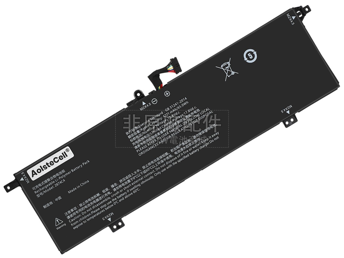 Thunderobot 2874C4副廠電池
